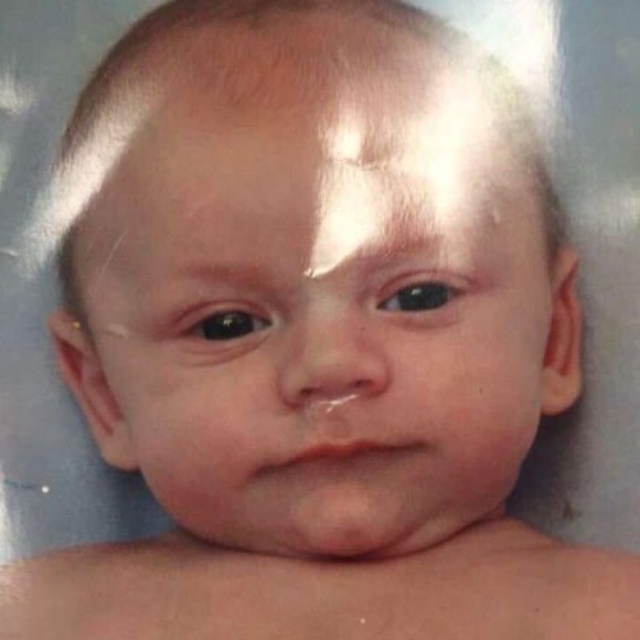 Meet your Posher, Logan - Picture 1 of 1